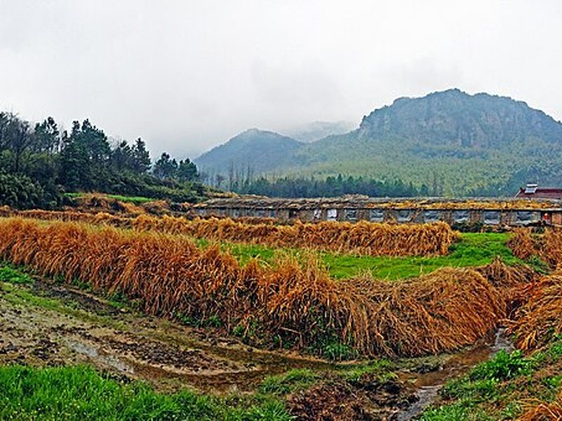 马仁奇峰